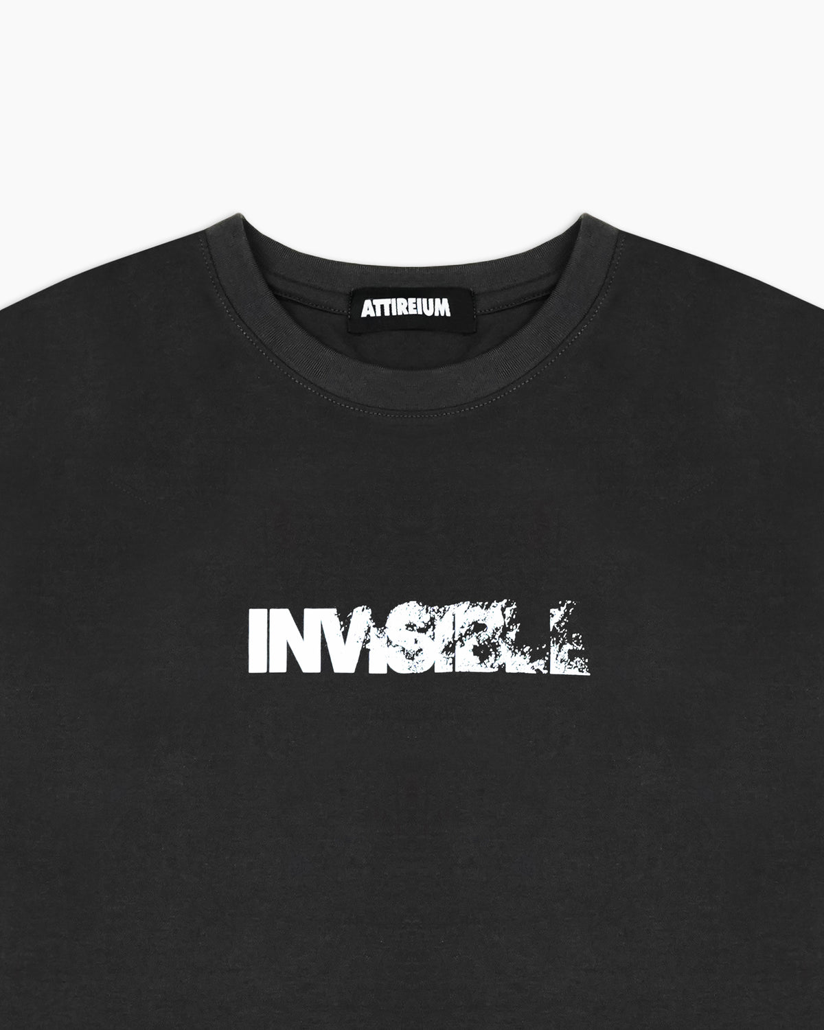 Black Beauty Invisible Graphic T-Shirt