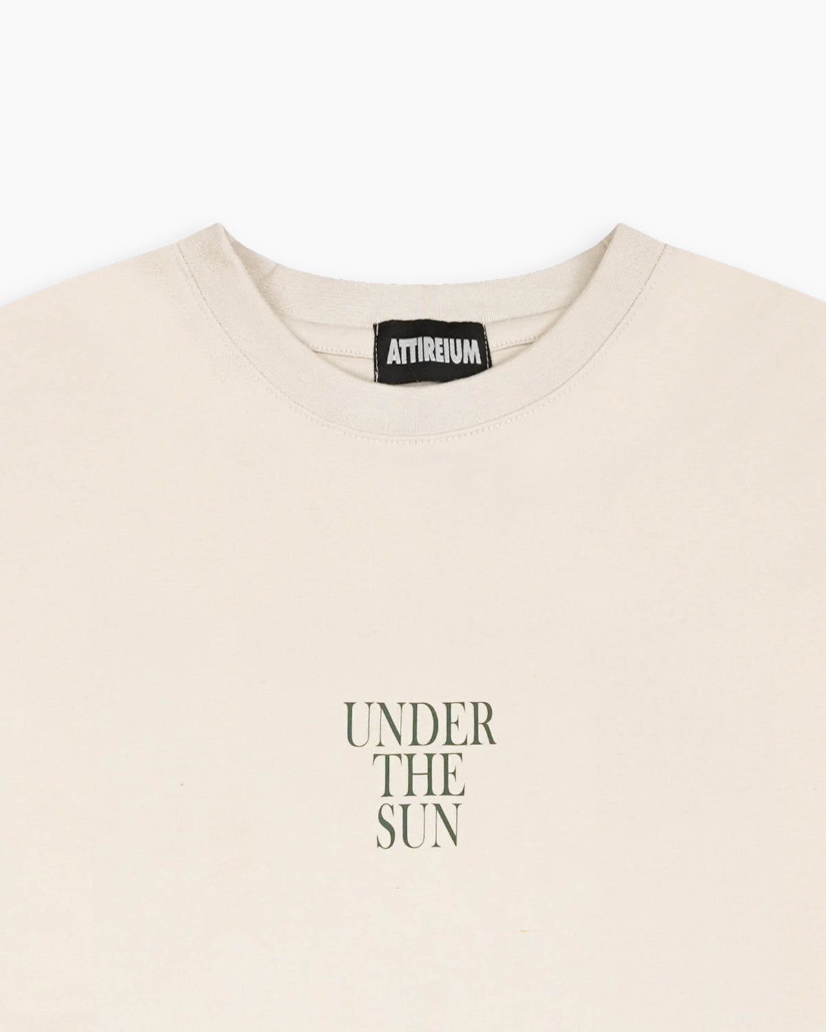 Snowy Peaks Cactus Graphic T-Shirt